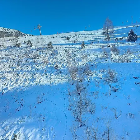 Apartment 1650 Mountain View - Snow Front 2s01 *
